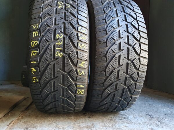 Шини бу 235 45 R18 Зима Sebring